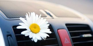 éliminer mauvaise odeur dans voiture