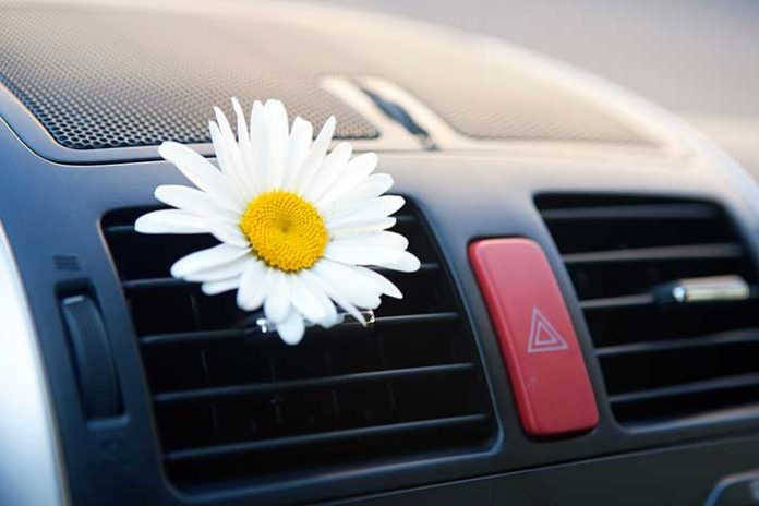 éliminer odeurs dans voiture
