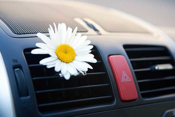 éliminer mauvaise odeur dans voiture