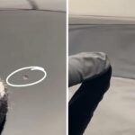 réparer éclat de peinture sur voiture detailing