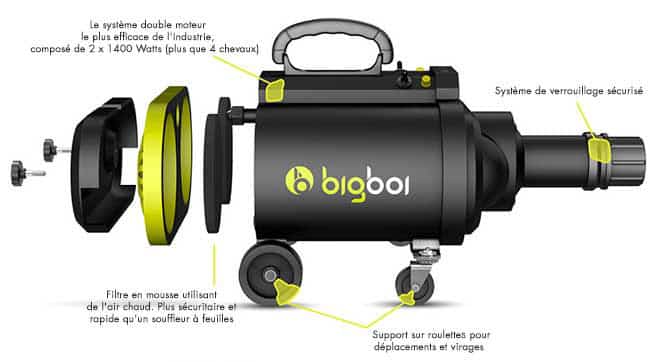 Bigboi BlowR Mini Plus Double Moteur - Souffleur sécheur pour voiture - CROP