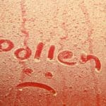 nettoyer pollen voiture detailing