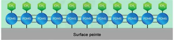 structure pdms