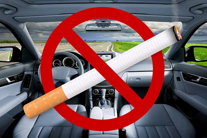 Absorbeur d'odeur et fumée de cigarette spécial voiture LAFITA