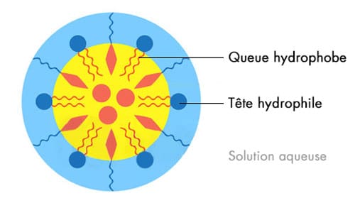 Micelle surfactant eau