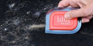 avis test lilly brush mini pet hair detailer