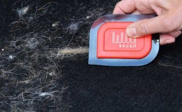 avis test lilly brush mini pet hair detailer