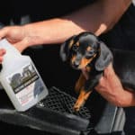 valetpro enzyme eliminer mauvaise odeur detailing