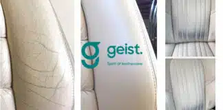 geist nettoyage reparation cuir voiture