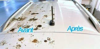 avant apres fiente d'oiseau crotte voiture