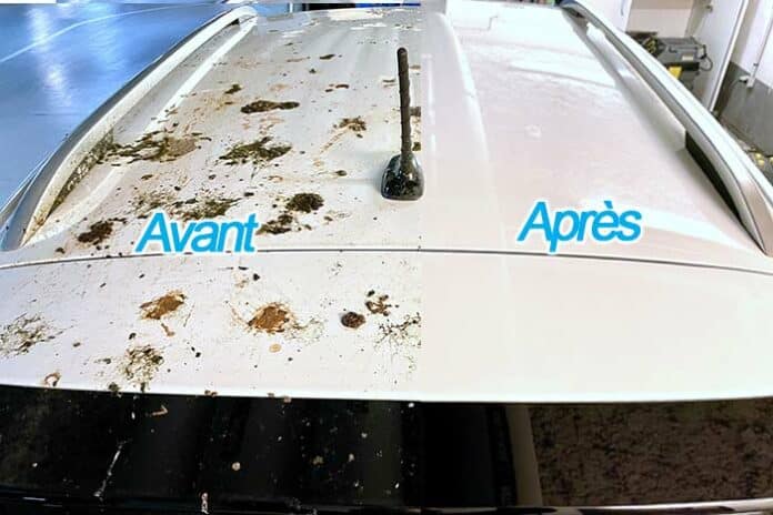 avant apres fiente d'oiseau crotte voiture